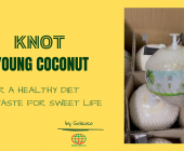 Knot Young Coconut Making Process - Cocogoli - Viet Nam Product